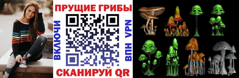 МЕГА как зайти  купить наркотик  Спас-Деменск  Галлюциногенные грибы Cubensis 